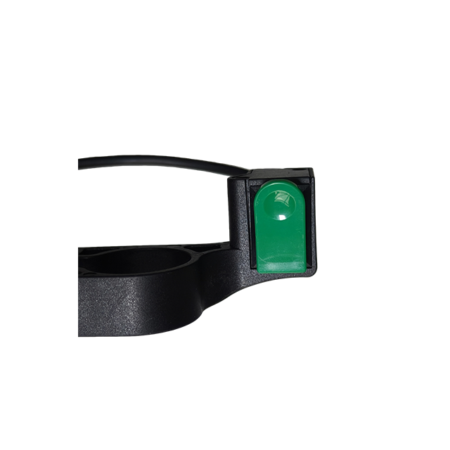 Walking assist switch R4